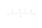 AMYNO - Home